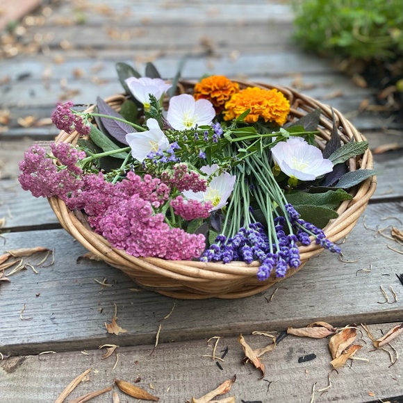 Meet your Posher, Laura - Picture 3 of 6